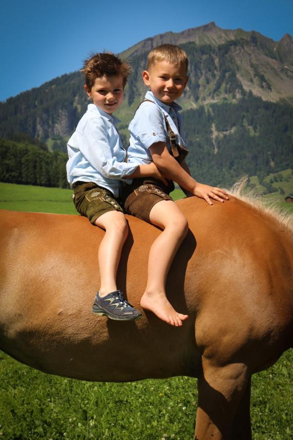 Apartmán Haus Bergquell Au (Vorarlberg) Exteriér fotografie
