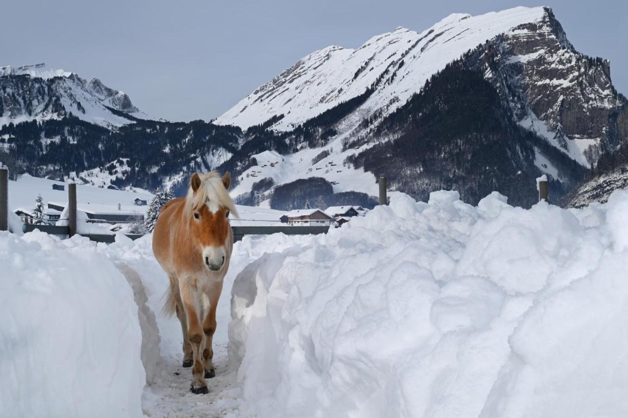 Apartmán Haus Bergquell Au (Vorarlberg) Exteriér fotografie