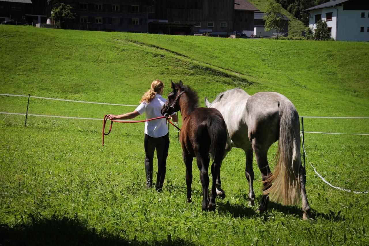 Apartmán Haus Bergquell Au (Vorarlberg) Exteriér fotografie